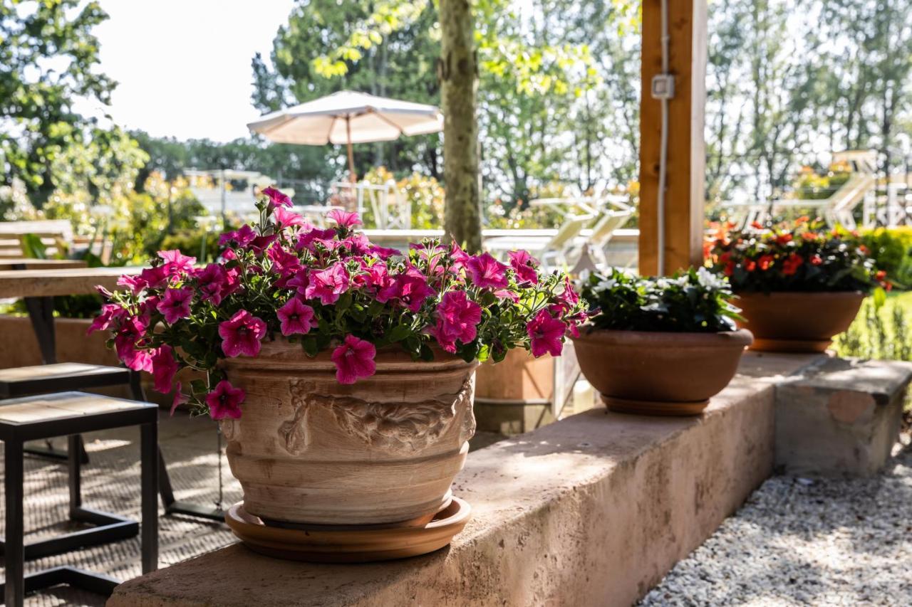 Vecchio Granaio Bed & Breakfast ปิซา ภายนอก รูปภาพ